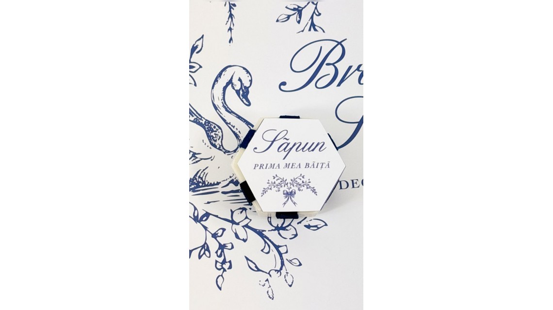 Set Prima Băiță cu nasii dupa botez Swan Lake Ritual Blând al apei pentru Băieți 11